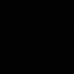 Meet your Posher, Sasha